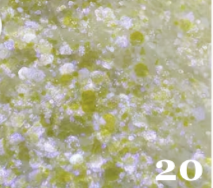 Créez votre Snow Globe Signature Taille Moyenne